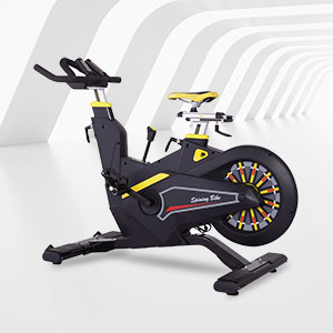 BSE-09商用专业健身房动感单车